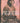 Book - Bury My Heart At Wounded Knee