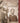 The Essential Charles Eastman (Ohiyesa) - Book