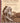 Living in Two Worlds: The American Indian Experience