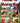 Foraging the Mountain West: Gourmet Edible Plants, Mushrooms, and Meat (book)