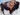 Jennifer Braig's mixed media buffalo painting, "Buffalo with Blue".