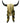 Hand Painted Buffalo Skull w. Painted Track Design