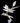 Dragonfly | Patty Eckman | cast paper sculpture