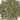 Lead Plant