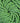 Czech Medium Green Opaque Glass Bead (208): 10/0