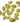 Money Cowrie Shell