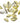 Money Cowrie Shell - Bottom View