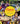 powwow a celebration through song and dance cover