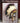 The Plains Warbonnet:  Its Story and Construction (book)