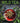 wild tea cover